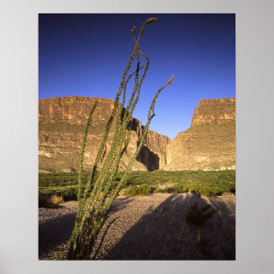 Affiche Canyon de Père Noël Elena