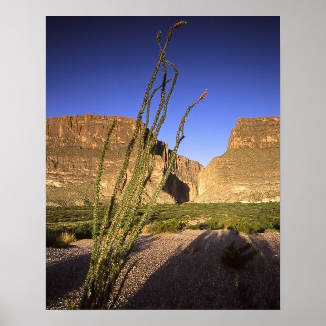 Affiche Canyon de père Noël Elena (Devant)