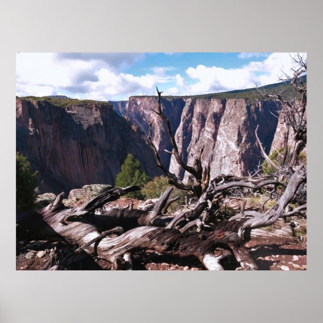 Affiche Canyon noir de la Gunnison (Devant)