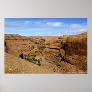 Affiche Canyon sans fin