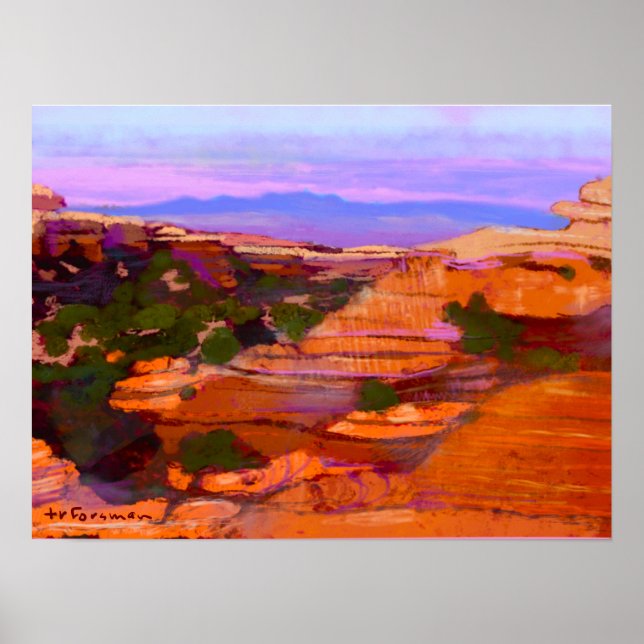 Affiche Canyonlands, USA PEINTURE ©TR FORSMAN (Devant)
