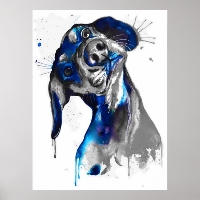 Affiche Cão em Azul (Devant)
