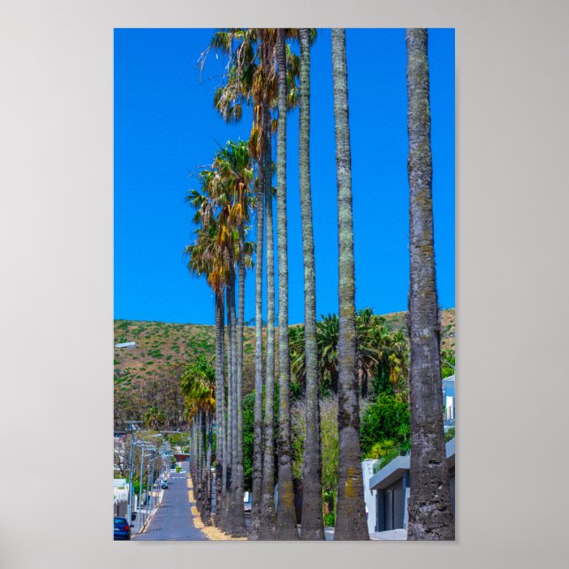 Affiche Cap Fresnaye Cityscape Afrique du Sud (Devant)