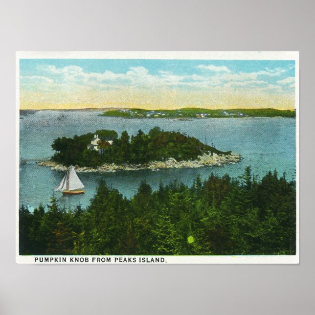 Affiche Cape Elizabeth View of Two Lighthouses (Devant)