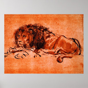 Affiche CAPE LION COUCHÉ par Rembrandt Orange Noir