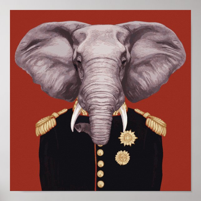 Affiche Capitaine Elephant (Devant)