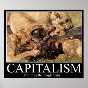 Affiche Capitalisme Demotivational