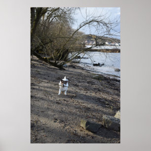 Affiche Capo von Oppenheim, chien Jack Russell Terrier