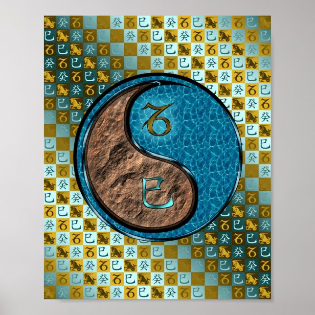 Affiche Capricorne et Serpent d'eau (Devant)