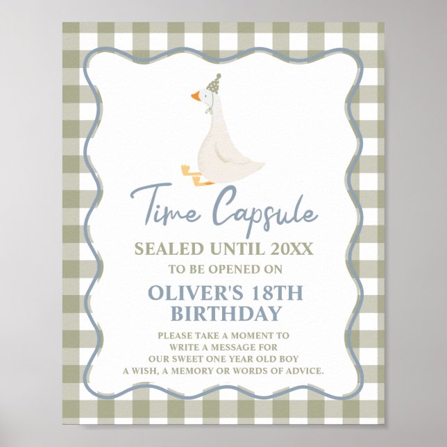 Affiche Capsule Temporelle 1er Anniversaire Silly Goose Bl (Devant)