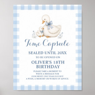Affiche Capsule Temporelle 1er Anniversaire Silly Goose Vi
