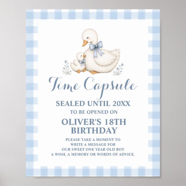 Affiche Capsule Temporelle 1er Anniversaire Silly Goose Vi (Devant)