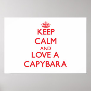 Affiche Capybara
