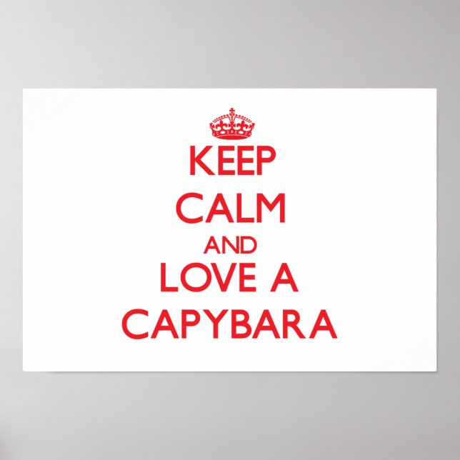 Affiche Capybara (Devant)