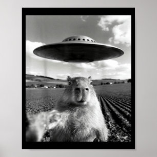Affiche Capybara selfie avec ufo capybara drôle capybara