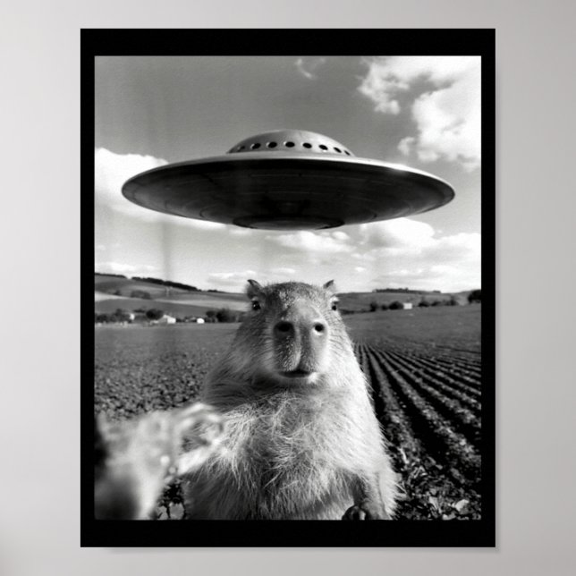 Affiche Capybara selfie avec ufo capybara drôle capybara (Devant)