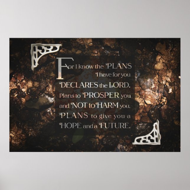 Affiche Car je connais les plans que j'ai pour vous (Devant)