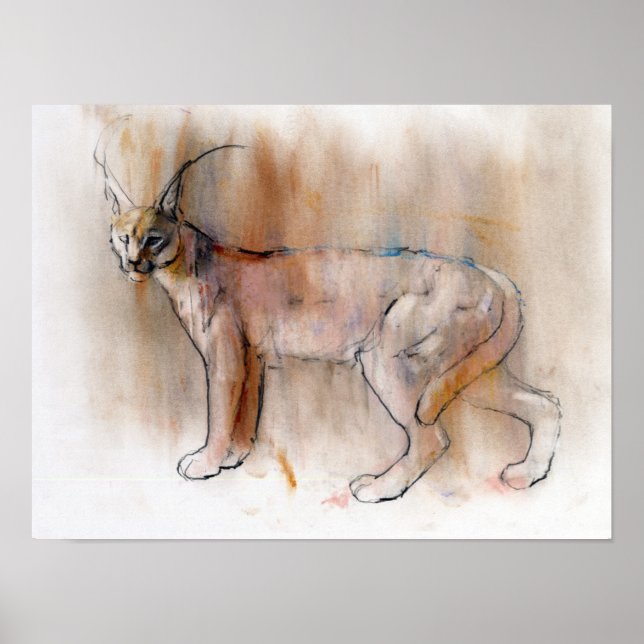 Affiche Caracal arabe 2009 (Devant)