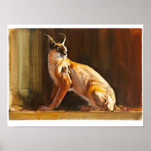 Affiche Caracal arabe 2010