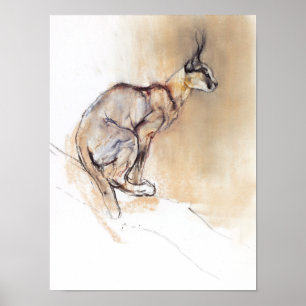 Affiche Caracal assis 2009