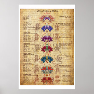 Affiche Caractéristiques de Chakras Yoga Art Imprimer