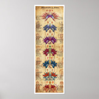 Affiche Caractéristiques des chakras - Style contrastif