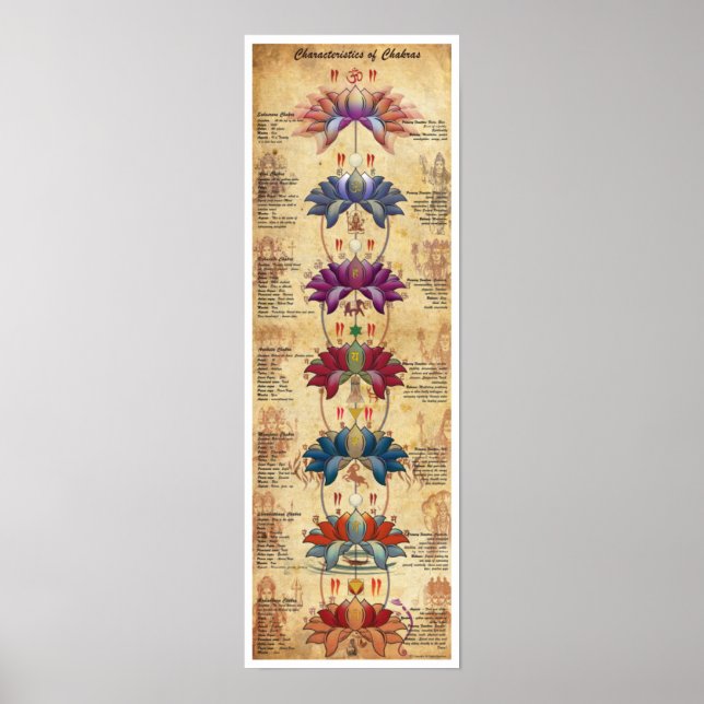 Affiche Caractéristiques des chakras - Style contrastif (Devant)