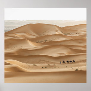 Affiche Caravane en chameau, coucher du soleil du Sahara, 