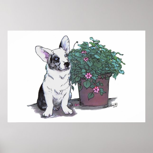 Affiche Cardigan Welsh Corgi Imprimer ~ Blue Merle (Devant)
