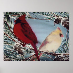 Affiche Cardinal
