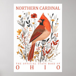 Affiche Cardinal boréal de l'Ohio, oiseau de l'État, illus