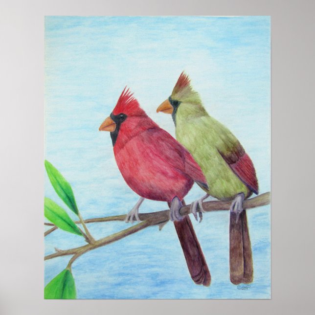 Affiche Cardinal Couple (Devant)