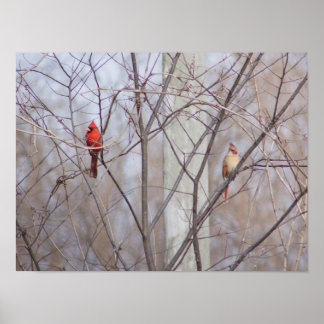 Affiche Cardinal family