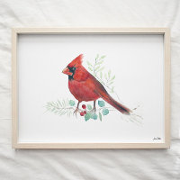 Cardinal rouge Aquarelle