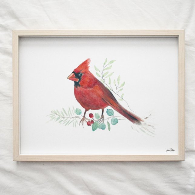 Affiche Cardinal rouge Aquarelle (Créateur téléchargé)