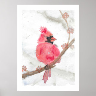 Affiche Cardinal rouge en neige