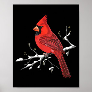 Affiche Cardinal rouge majestueux Ornithologie Observateur