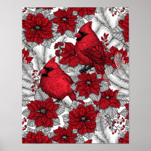 Affiche Cardinals and poinsettia in red and white