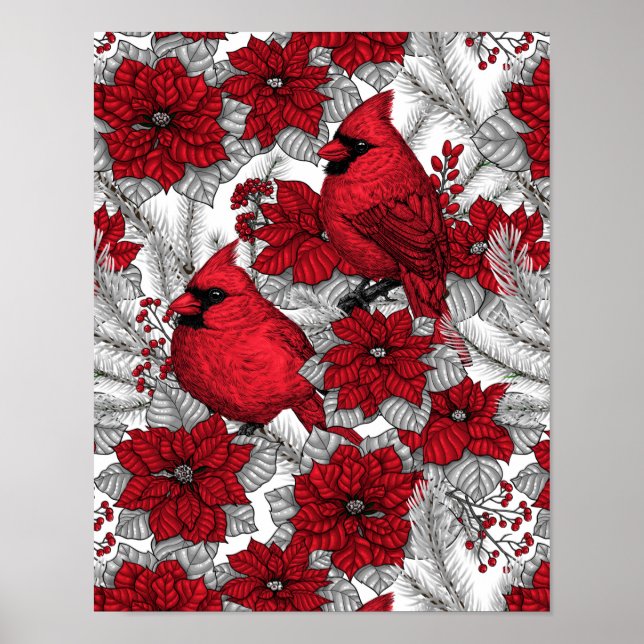 Affiche Cardinals and poinsettia in red and white (Devant)