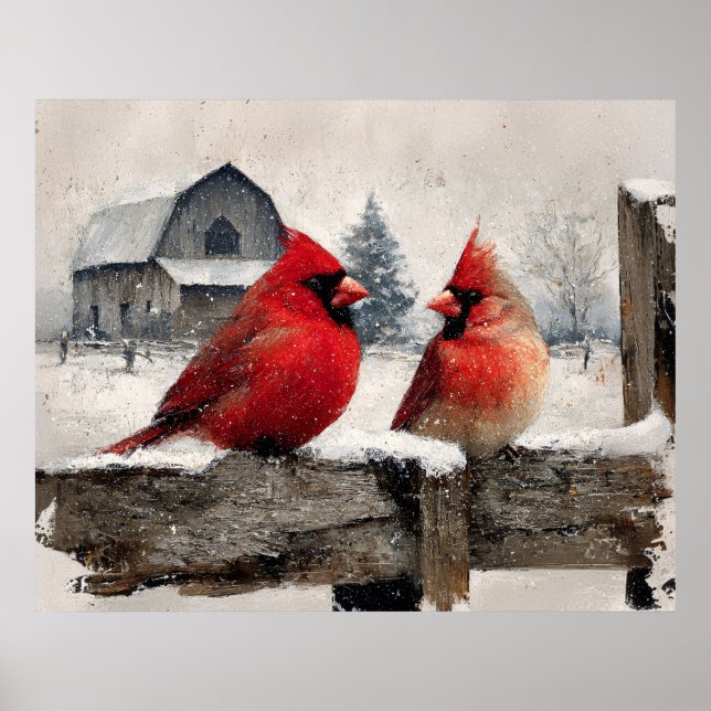 Affiche Cardinals Vintage Farm (Devant)
