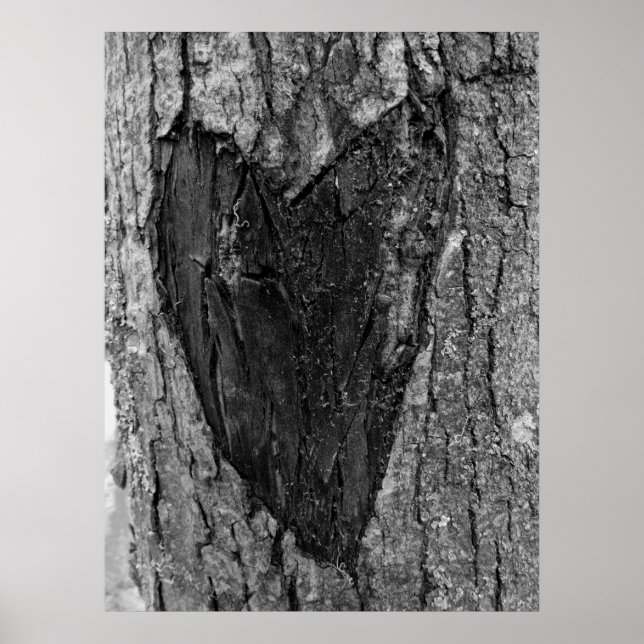 Affiche Cardiologie des arbres (Devant)