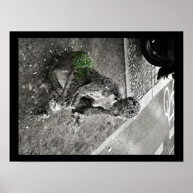 Affiche Caretaker (Devant)