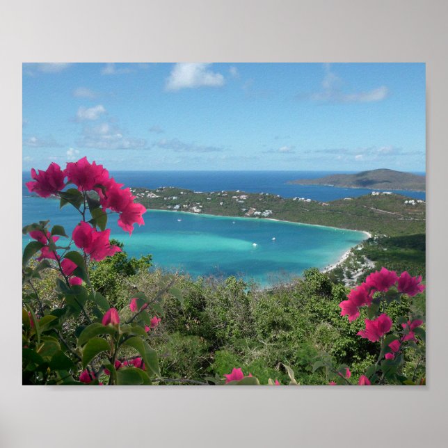 Affiche Caribbean Paradise Tropical Beach Photo (Devant)