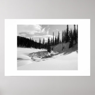 Affiche Cariboos : Brook pacifique