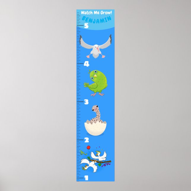 Affiche Caricature d'oiseaux amusant mignon graphique de c (Devant)