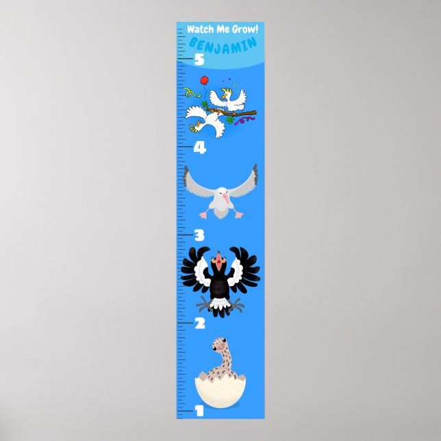 Affiche Caricature d'oiseaux amusant mignon graphique de c (Devant)