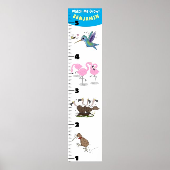 Affiche Caricature d'oiseaux amusant mignon graphique de c (Devant)