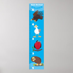 Affiche Caricature d'oiseaux amusant mignon graphique de c