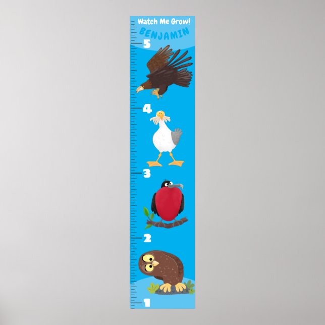 Affiche Caricature d'oiseaux amusant mignon graphique de c (Devant)
