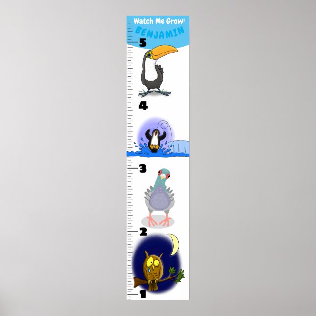 Affiche Caricature d'oiseaux amusant mignon graphique de c (Devant)